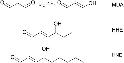 Formation Of Reactive Aldehydes Mda Hhe Hne During The Digestion Of