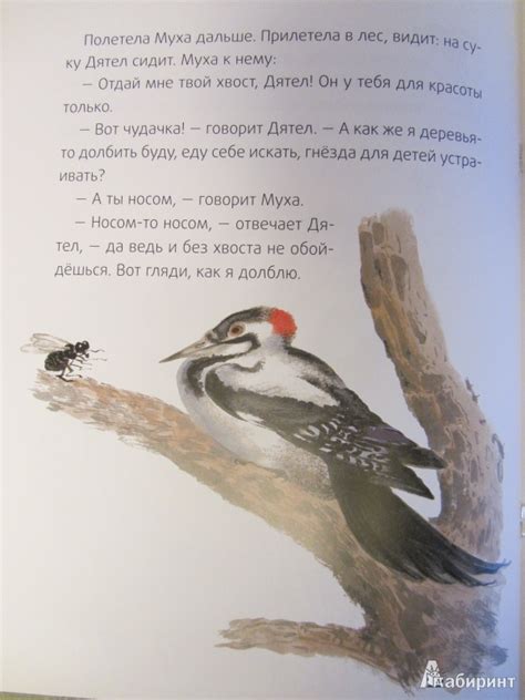 Книга: Хвосты - Виталий Бианки. Купить книгу, читать рецензии | Лабиринт