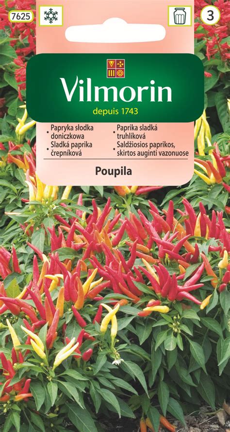 Paprika: Paprika sladká