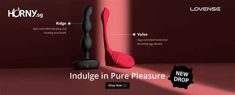 Browse Our Lovense Lush Collection In Singapore Horny Sg