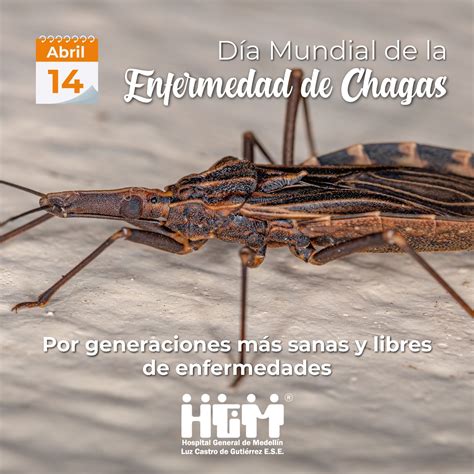 Día Mundial de la Enfermedad de Chagas