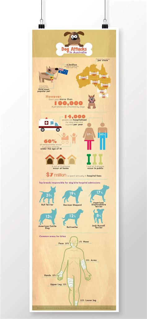 Dog Attacks - Infographic - Natalie Pasnin