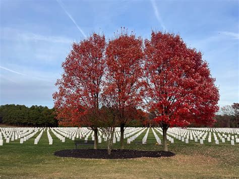 Visitor Information Guide for Calverton National Cemetery 15