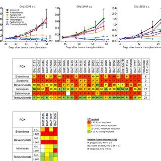 Chemosensitivity Of Established Glioma PDX A Examples Of Drug