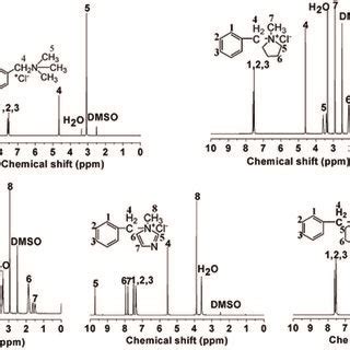 The ¹H NMR spectra of model compounds QTMA QMPY QMPRD QMIDZ and