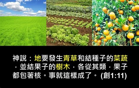 daily spiritual food  christians