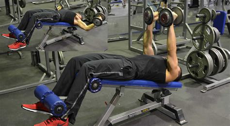 Decline Dumbbell Fly – The Optimal You | Online Personal Trainers ...