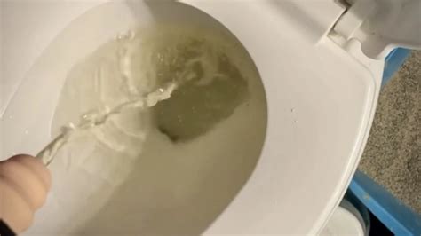 Trans Man Takes Long Messy Loud Piss With Stp Device Shemale Ladyboy Ladyboy Porn XHamster