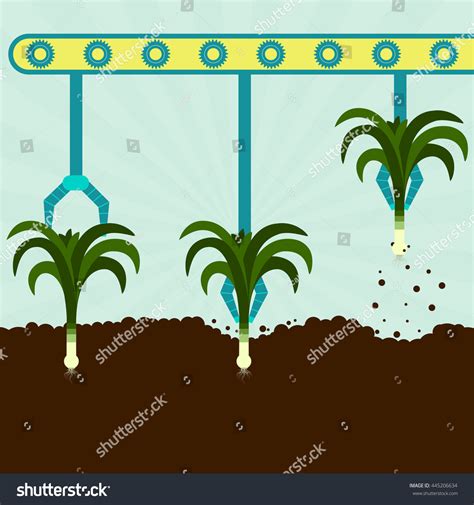 Machine Grippers Harvesting Leeks Monoculture Stock Vector (Royalty