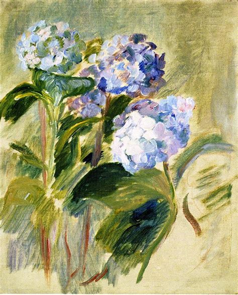 Branch Of A Hydrangea By Berthe Morisot 1894 Renoir French