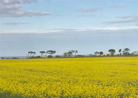 Visit Belford: 2024 Travel Guide for Belford, England | Expedia