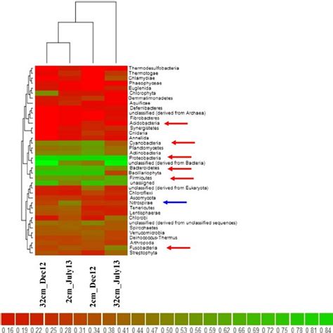 Taxonomic Distribution Of The Obtained Metagenome Sequences Bacterial