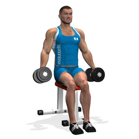 Alternating Seated Dumbbell Curl Back To Workout