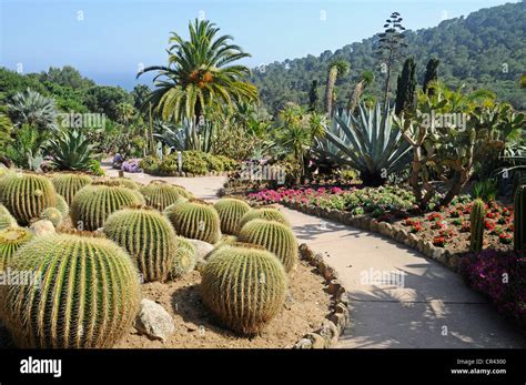 Botanical garden Jardi Botanic Mar i Murtra, Marimurtra, Blanes, Costa