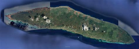 Tortuga Islandhaiti West Indian Boas