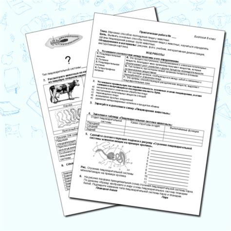 Значение пищи, биология 8 класс