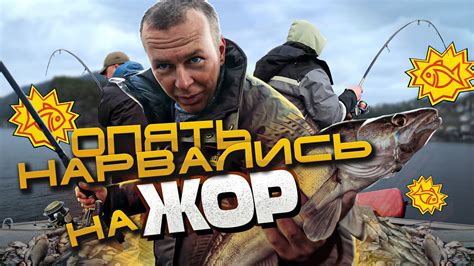 НАТАСКАЛИ ПО ПОЛНОЙ! Рыбалка в Норвегии с берега. - YouTube