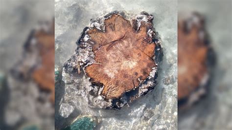 Ancient superpowered solar storm that hit Earth 14,000 years ago is the ...