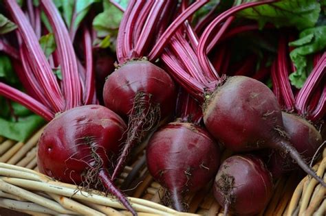 Premium Photo Sugar Beets