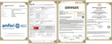 Sexy Lingerie Plus Size Womens Seamless Panties Set