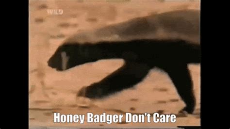 Honey Badger Don't Care