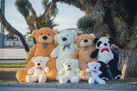 Oso Peluche Jumbo 1 60 Cmts Grande Gigante Miel Regalo Envío gratis