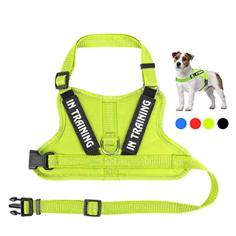 The Best In Training Dog Harness of 2019 - Top 10, Best Value, Best Affordable