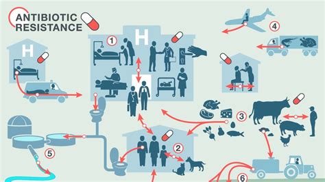 The Silent Pandemic Antibiotic Resistant Bacteria On The Rise