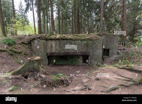 Intakt Westwall Bunker Aus Dem Zweiten Weltkrieg Eifel Deutschland