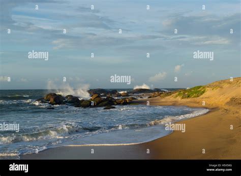 indian ocean  yala national park high resolution stock photography