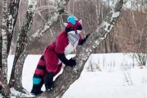 фурсьют енот - Создать мем - Meme-arsenal.com