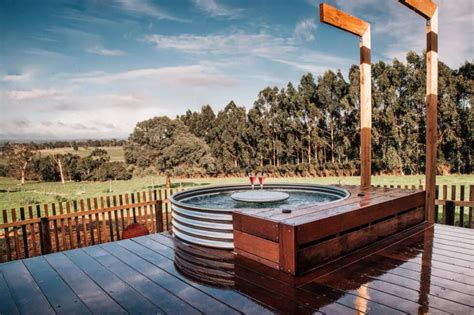 Take The Plunge Sydney Pool And Outdoor Design