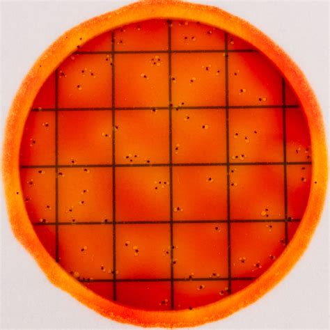 Reference Material For Petrifilm Rapid Coliform Count Plate Pfrcc