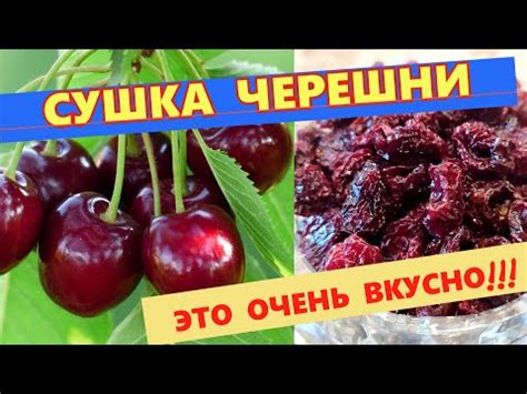 🔴Сушеная черешня, вишня без косточек🔴Как правильно сушить в ...