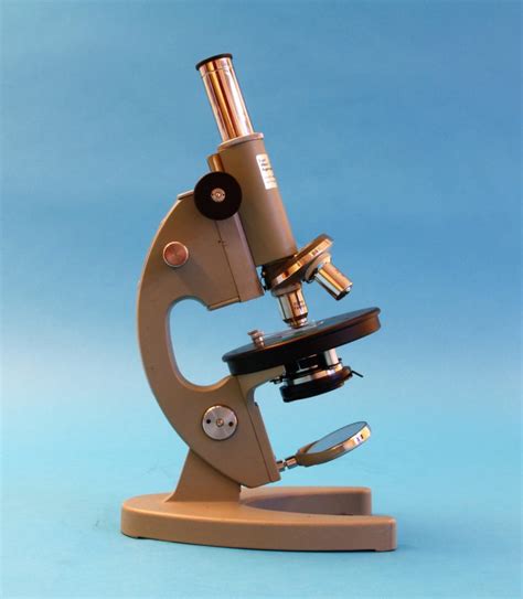 Compound Achromatic Microscope Mbu Stand Stichting Voor