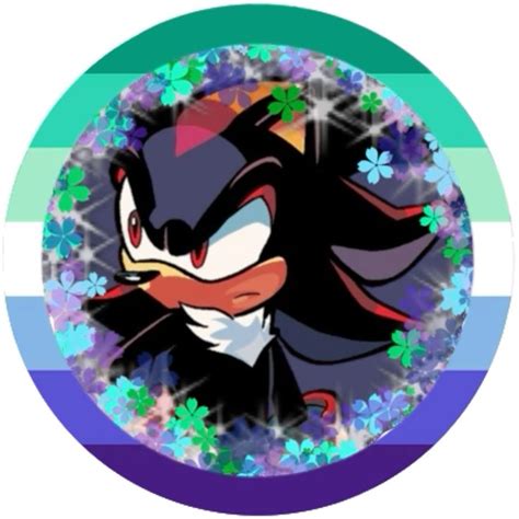 Shadow The Hedgehog Shadow The Hedgehog Gay Flag Shadow