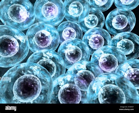 Human Cells Background 3d Render Stock Photo Alamy