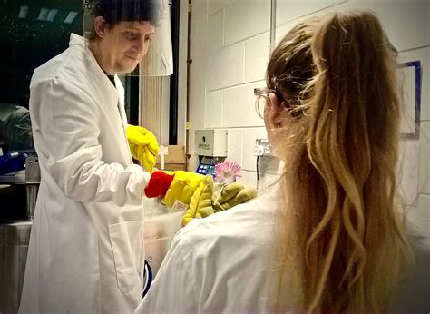 No female applicants shock prompts Dunn School STEM for girls’ event - Dunn School