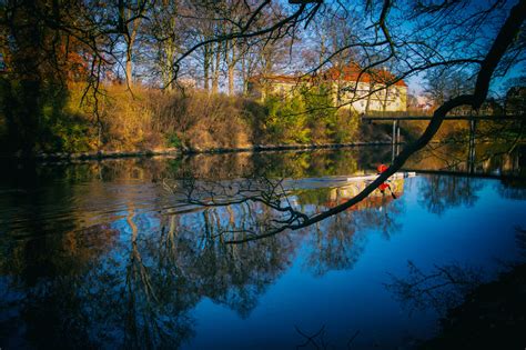 Wallpaper Sunlight Landscape Lake Nature Reflection Branch