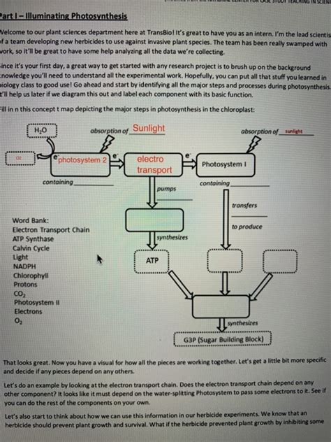 Solved ING IN SCENE Part I - Illuminating Photosynthesis | Chegg.com