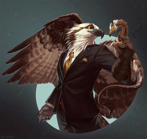 Pin By Tyberus On Furry Creature Art Furry Art Bird People