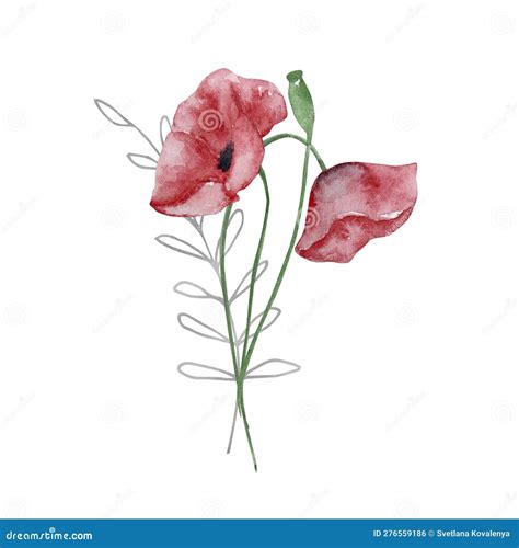 Watercolor Bouquet of Wildflowers Stock Vector - Illustration of plant ...