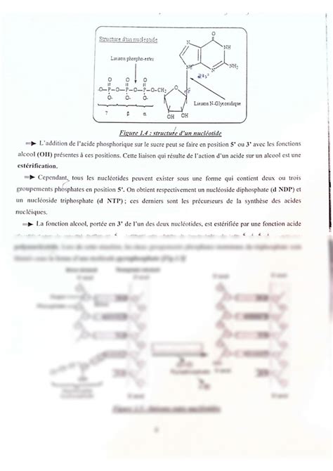 SOLUTION Biologie Module G N Tique Chapitre 1 Mat Riel G N Tique