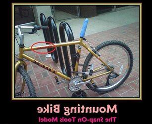 CCCXXIX Funny Wonderful Captioned Images ZB Porn