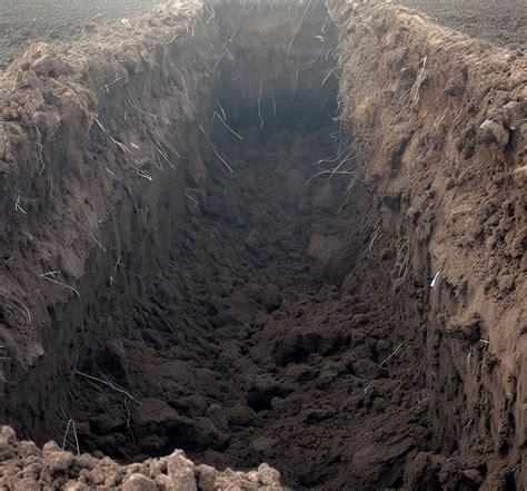 subsoil galebest contracting