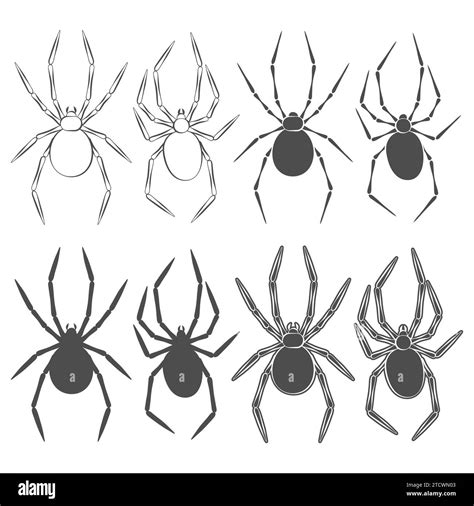 Set Of Black And White Illustrations With Spider Isolated Vector Objects On White Background