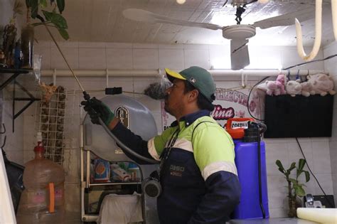 Eco Regional Peri Dico Realizaron Nueva Fumigaci N Al Mercado Municipal