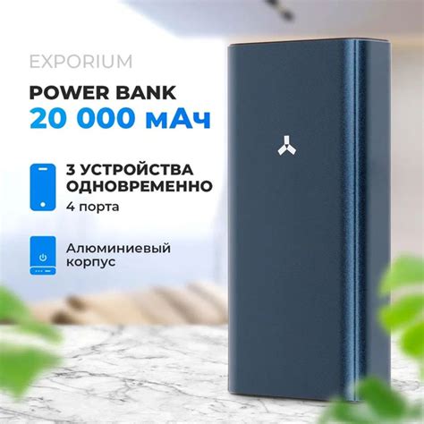 Внешний аккумулятор (Power Bank) AccesStyle порт2702 - купить по ...