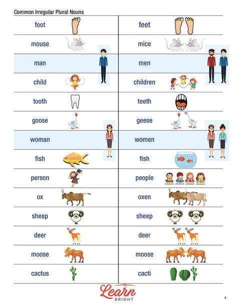 List Of Regular Plural Nouns