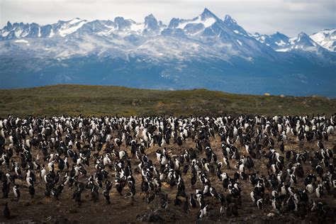 The End of The World – A Guide to Ushuaia, Argentina - Uncharted Backpacker